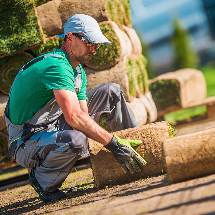 landscaper close up installing sod and lawn at property shinnecock hills ny